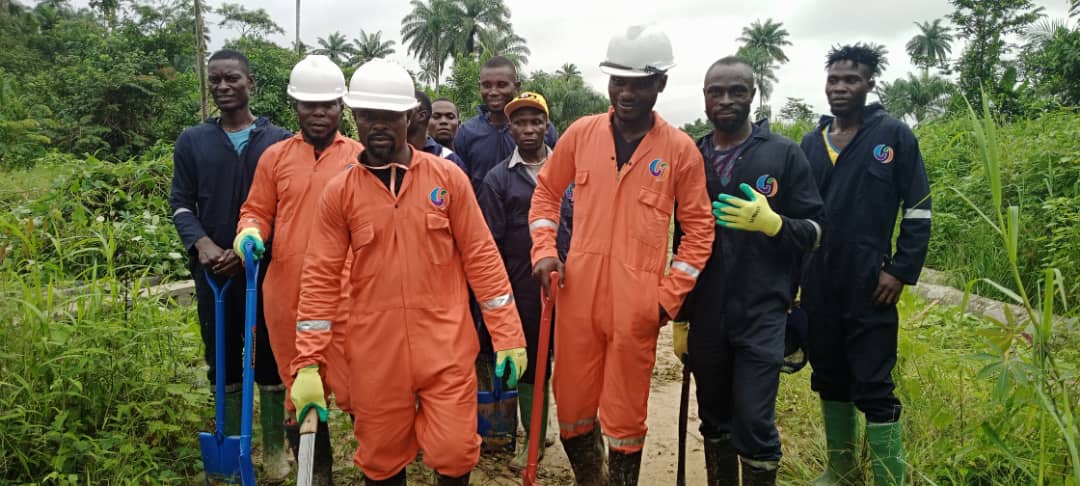 Emergency Reconstruction/Rehabilitation of 33KV Single Circuit Line - Image 1